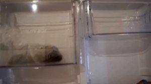 Видеообзор холодильника LG GA-E409SQRL