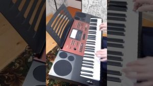 "Полёт Кондора" на синтезаторе casio ctk-6250