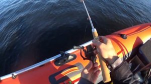 Бешеный клёв леща!!!#Ловля леща на кольцо.#Мега поводок!!!