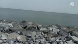 kalba to fujairah / UMBRELLA BEACH