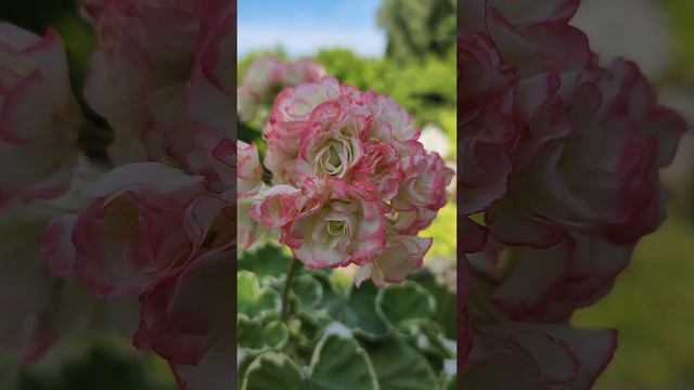 31 июля 2023 г. смотреть онлайн