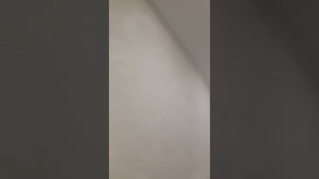 Натяжные потолки в городе Сочи смотреть онлайн