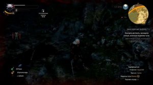 The Witcher 3: Wild Hunt Прохождение #34- Мочконул Джина ★ Lets Play [60 FPS] PC