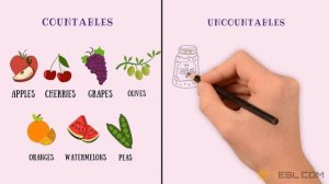 Countable vs. Uncountable FOOD in English | Food and Drinks Vocabulary