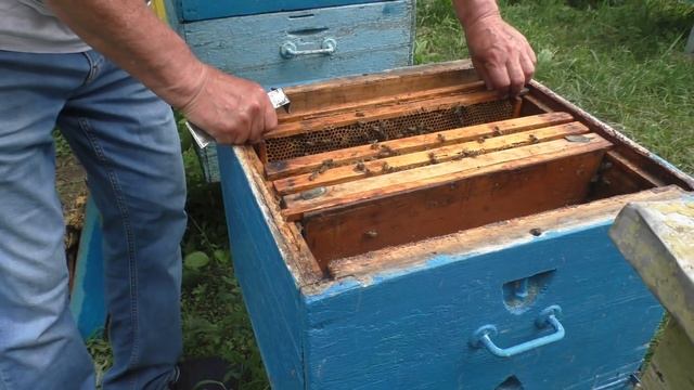 Как исправить семью с помощью маточников смотреть онлайн