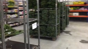 Оптовый цветочный центр. Флоревиль.