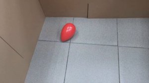 Игрушка для собак неуловимое ЯЙЦО-АНТИЦАРАПКИ 18 см