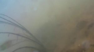 Томск. Ушайка. Камера упала в воду.