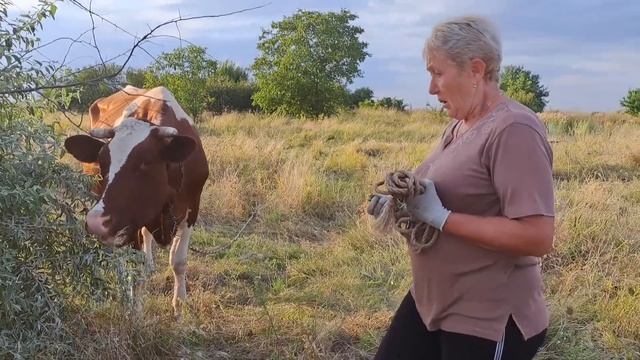 Что это такое на огороде? смотреть онлайн
