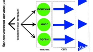 Психосоматика