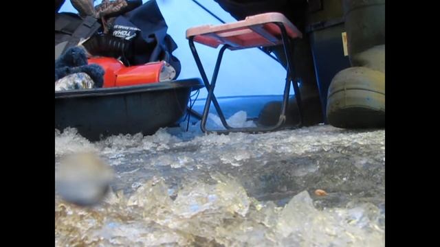 Зимняя рыбалка на озере Яровом смотреть онлайн