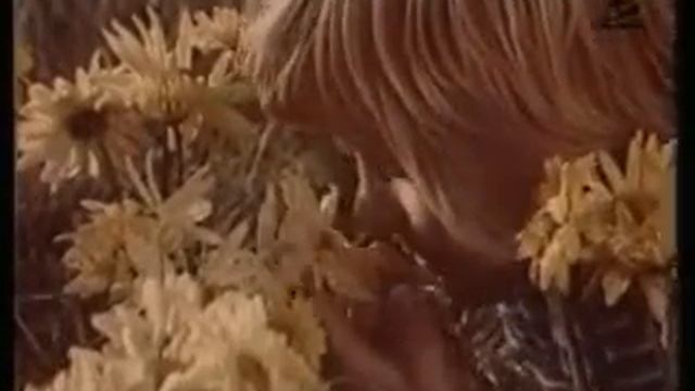 1966 Kodak Sunrise, Sunset TV) смотреть онлайн