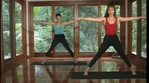 йога основной курс Louisa Sear Rachel Zinman
