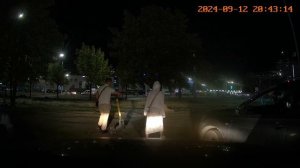 Пара куриц на самокате