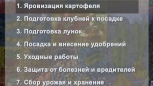 Как получить ГИГАНТСКИЙ УРОЖАЙ КАРТОФЕЛЯ или 750 кг. картофеля с 1 сотки!