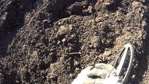 С АКА Сигнум по распаханному.