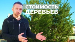 Крупномеры: правила выбора #крупномеры