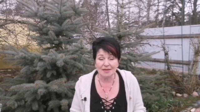 Соматические клетки в молоке. Как лечить соматику.