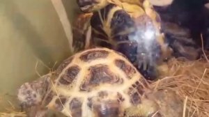 ...разбила любимую кружку...