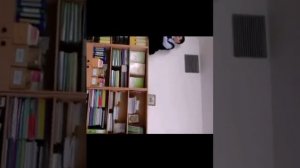 мой одноклассник упал со шкафа