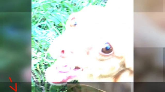 Итоги Фотосессии С Жулей смотреть онлайн