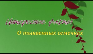 Интересные факты о тыквенных семечках