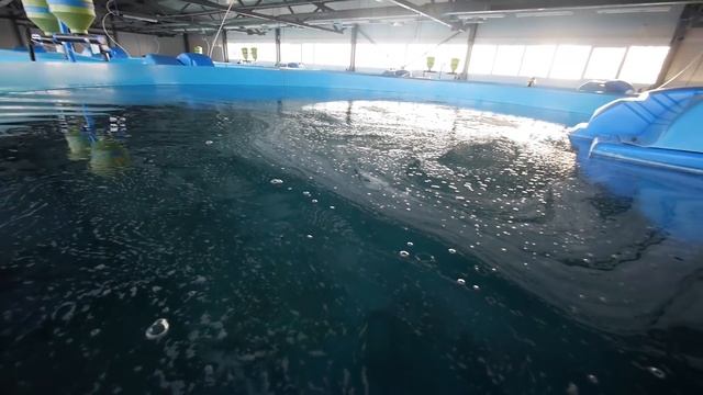 Генератор кислорода для рыборазведения