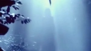 Витольд Петровский - Там нет меня