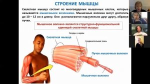 1. Общая миология.