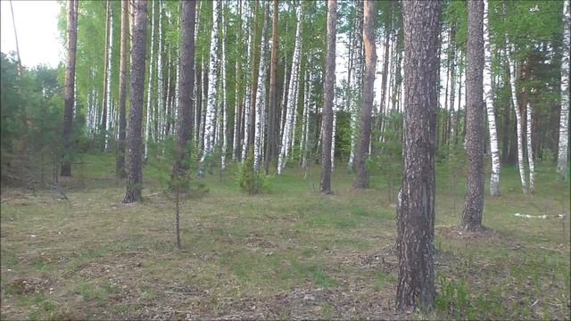 ПОСЕЛУХА ГРОЗНОГО смотреть онлайн