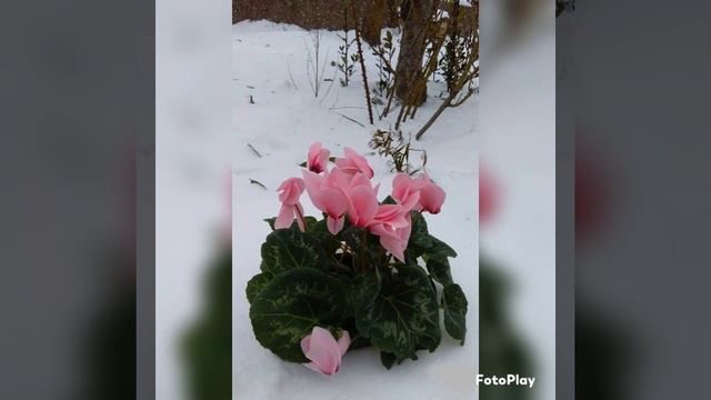 ДОБРЫЙ ВЕЧЕР ВСЕМ!!#тамараушакова смотреть онлайн