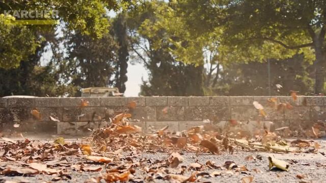 Aspiradora NT 15/1 Profesional de KÄRCHER смотреть онлайн