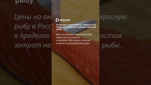 В России сохраняется стабильный спрос на аквакультурную красную рыбу