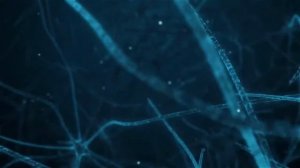 Brain Neurons   Full HD   Royalty Free Stock Footage 1080p