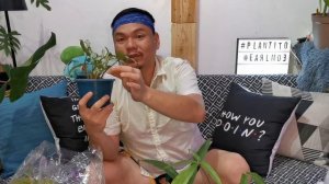 UNBOXING: August 2020 Online Shopping Plant Haul || PlanTito Does Things