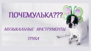 ПОЧЕМУЛЬКА. МУЗЫКАЛЬНЫЕ ИНСТРУМЕНТЫ. СИМФОНИЧЕКИЙ ОРКЕСТР. ТРУБА. СТИХИ ДЛЯ МАЛЫШЕЙ. Короткие стишки