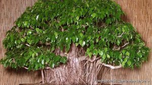 ЕСЛИ ФИКУС СБРАСЫВАЕТ ЛИСТЬЯ СДЕЛАЙТЕ ЭТО! Что делать? Какая причина? | flowersecrets