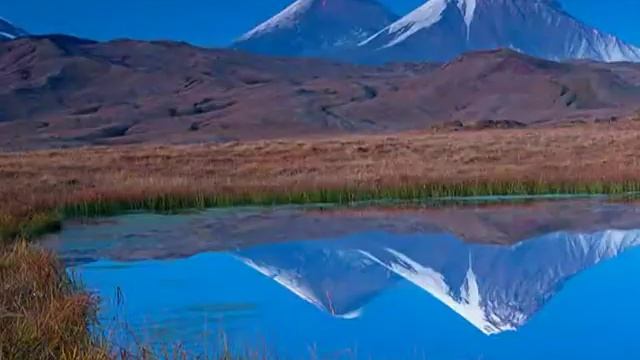 Я мечтала о морях и кораллах смотреть онлайн