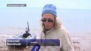 Во Владивостоке наступил сезон летней рыбалки  Камбала и минтай пришли на нерест в Уссурийский зали