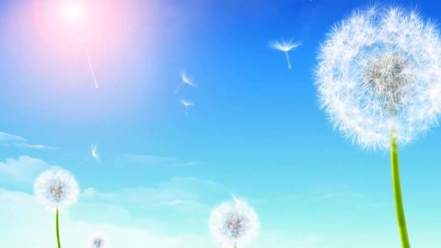 Угадай мелодию. Музыкальная викторина смотреть онлайн