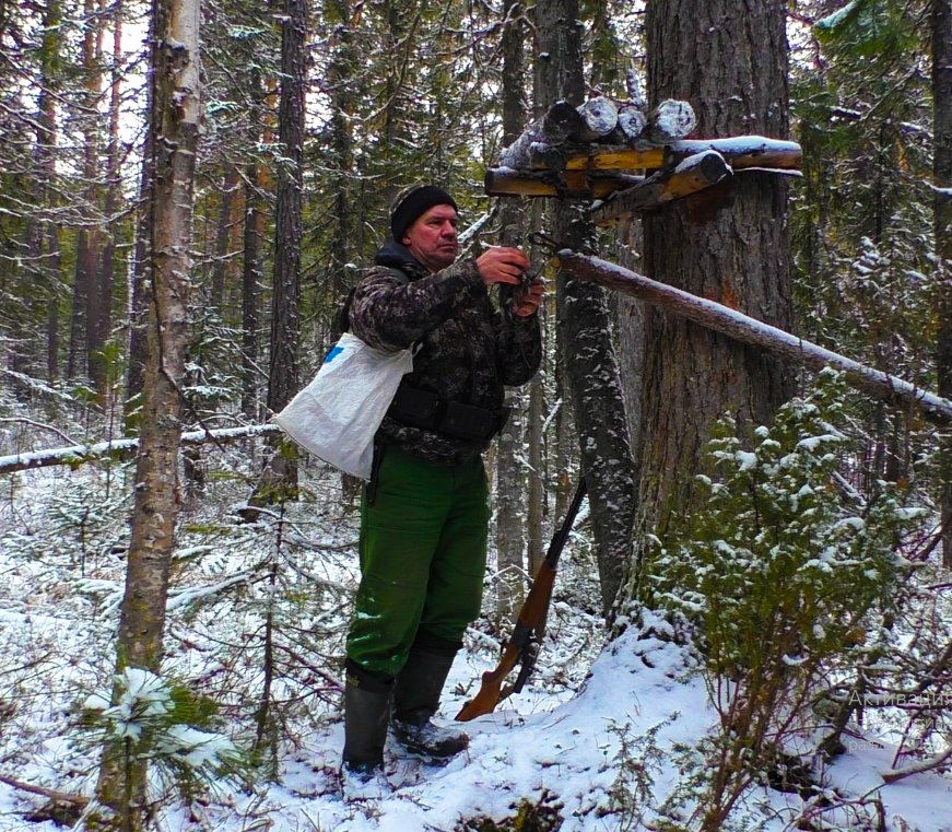Насторожка капканов на путике. смотреть онлайн