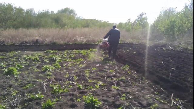 Мотоблок brait 135GD 17л.с. с плугом смотреть онлайн