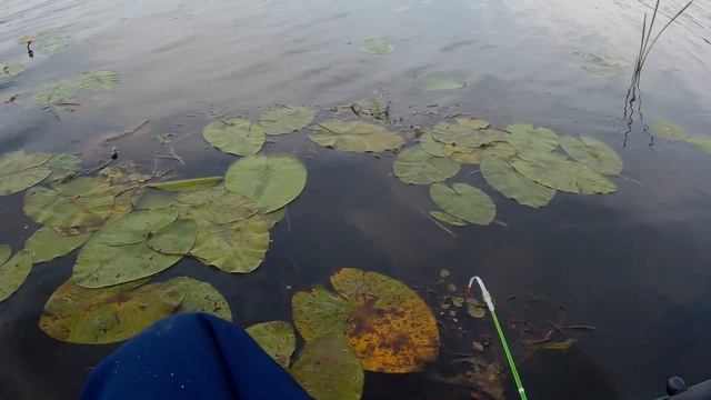 Рыбалка на Упе смотреть онлайн