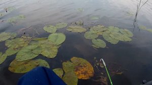 Рыбалка на Упе