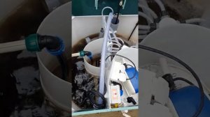 Мой Евробион 8