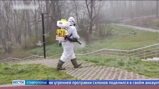 Территорию Комсомольского пруда в Ставрополе обработали от клещей
