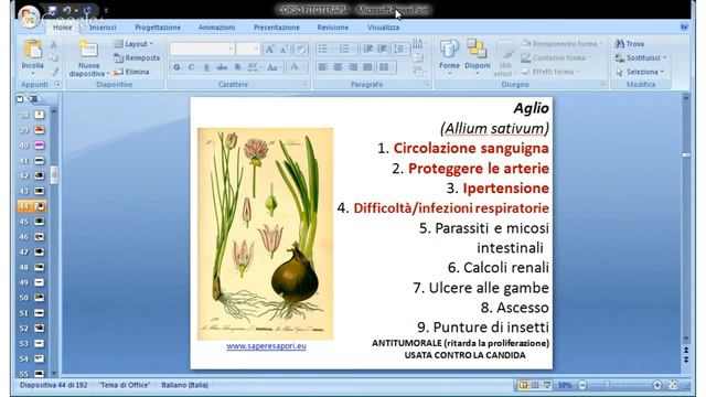 CORSO DI FITOTERAPIA 3^ LEZIONE