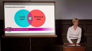 Чем кормить котенка — Как и что едят котята Сколько и как часто Академия котят