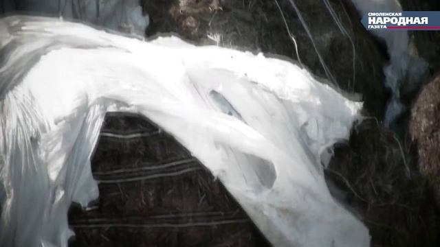 Вся правда об СПК "Дорогобужский" смотреть онлайн