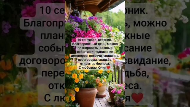 VID_29480308_233857_997.mp4